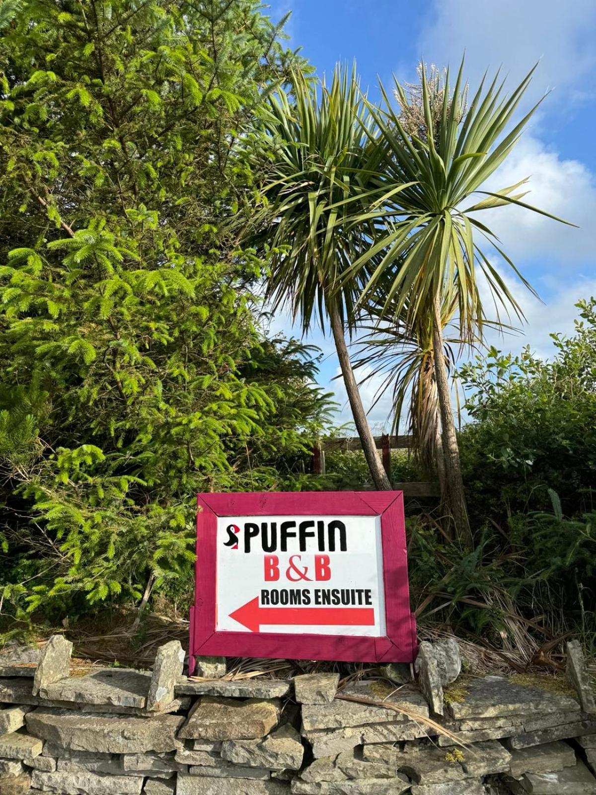 ليسدونفارنا Puffin Rooms المظهر الخارجي الصورة
